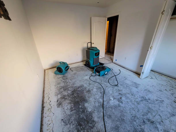 Best Local water damage restoration  in Sleepy Hollow, IL