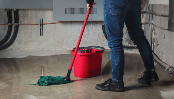 Best Water damage cleanup near me  in Sleepy Hollow, IL
