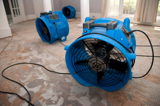 Best Commercial water damage restoration  in Sleepy Hollow, IL