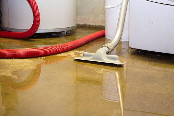 Best Basement water damage restoration  in Sleepy Hollow, IL