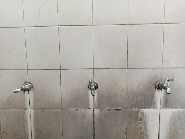 Best Water damage restoration near me  in Sleepy Hollow, IL