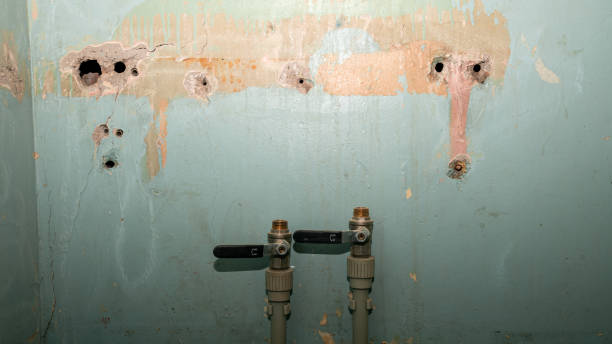 Best Flooded house restoration  in Sleepy Hollow, IL