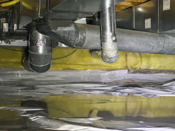 Best Water damage contractors near me  in Sleepy Hollow, IL