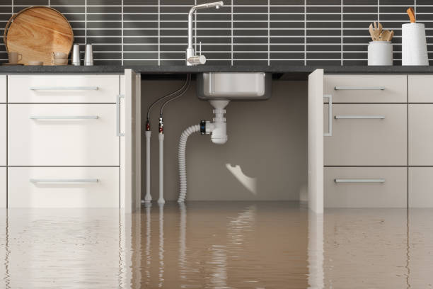 Best Water damage restoration process  in Sleepy Hollow, IL