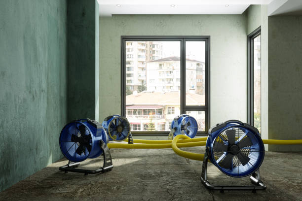 Best 24-hour water damage restoration  in Sleepy Hollow, IL