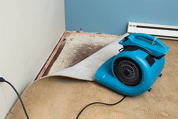 Best Flood damage cleanup  in Sleepy Hollow, IL
